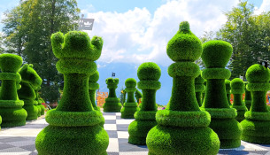 Шахматы в парке Зелёная планета