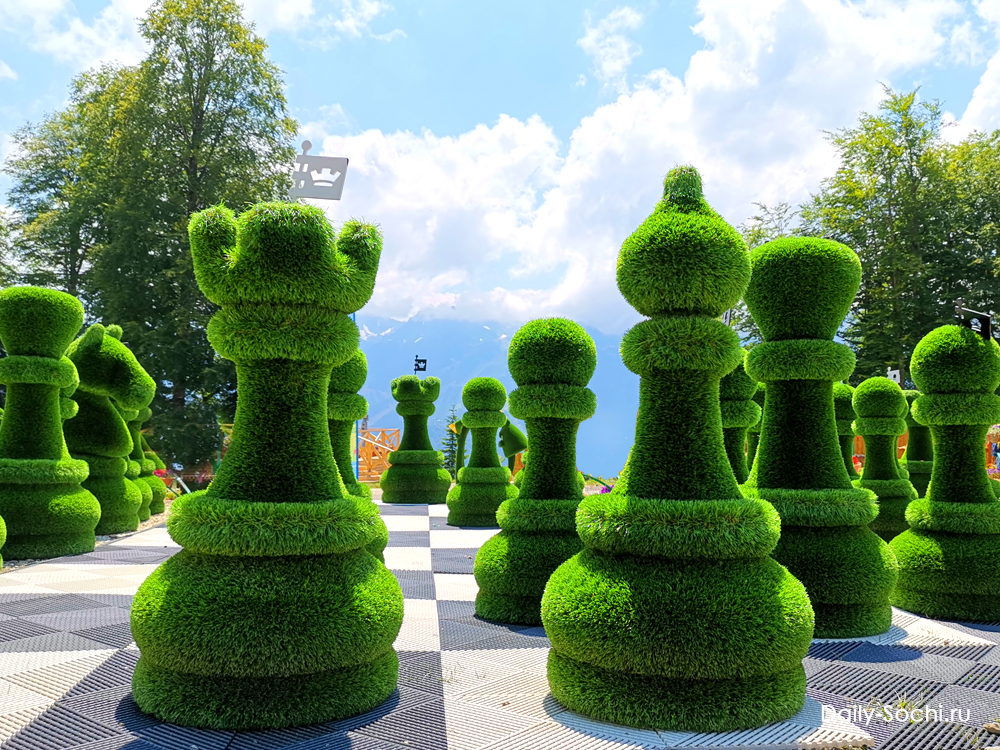 Шахматы в парке Зелёная планета